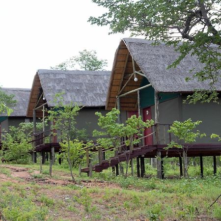 Lion Roars Lodge Lesoma 외부 사진