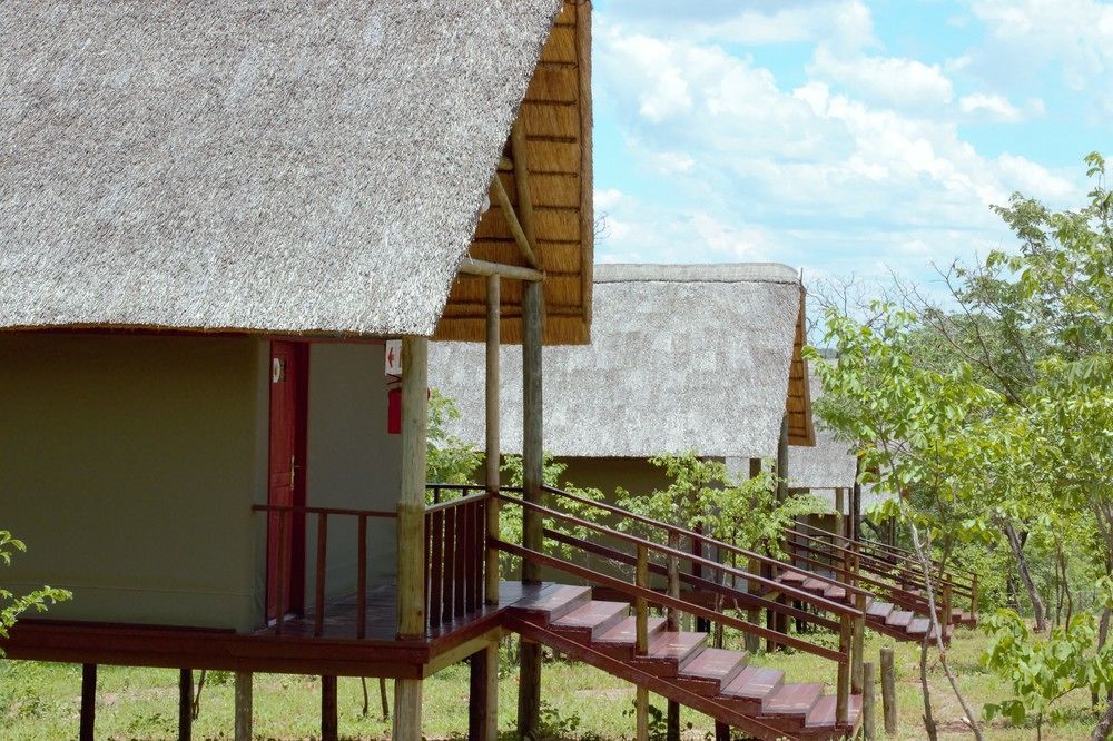 Lion Roars Lodge Lesoma 외부 사진