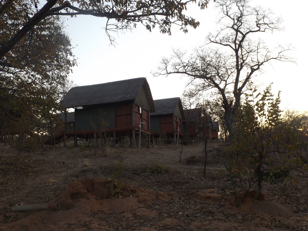 Lion Roars Lodge Lesoma 외부 사진