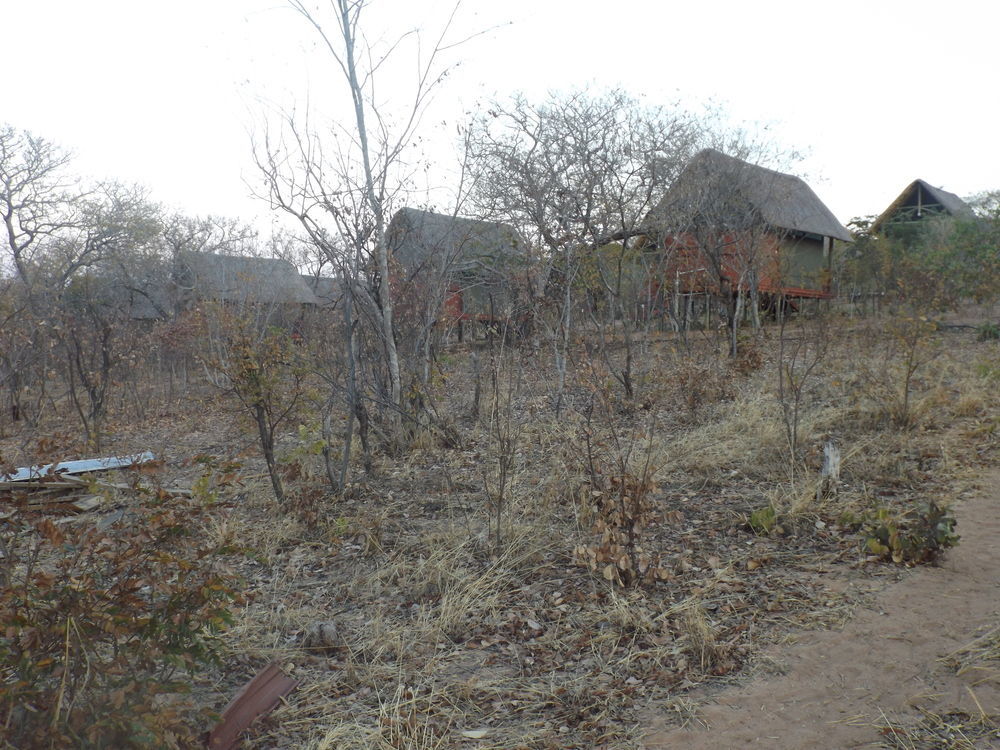 Lion Roars Lodge Lesoma 외부 사진