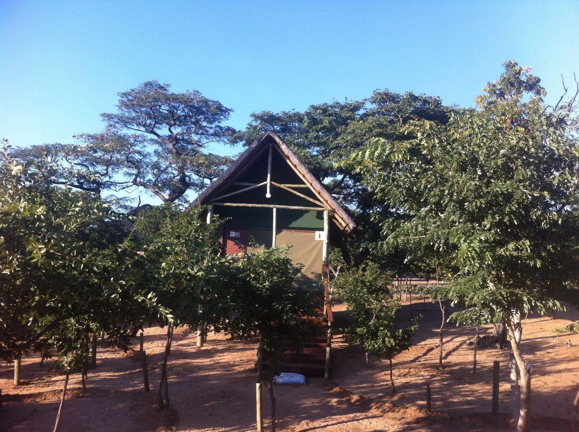 Lion Roars Lodge Lesoma 외부 사진