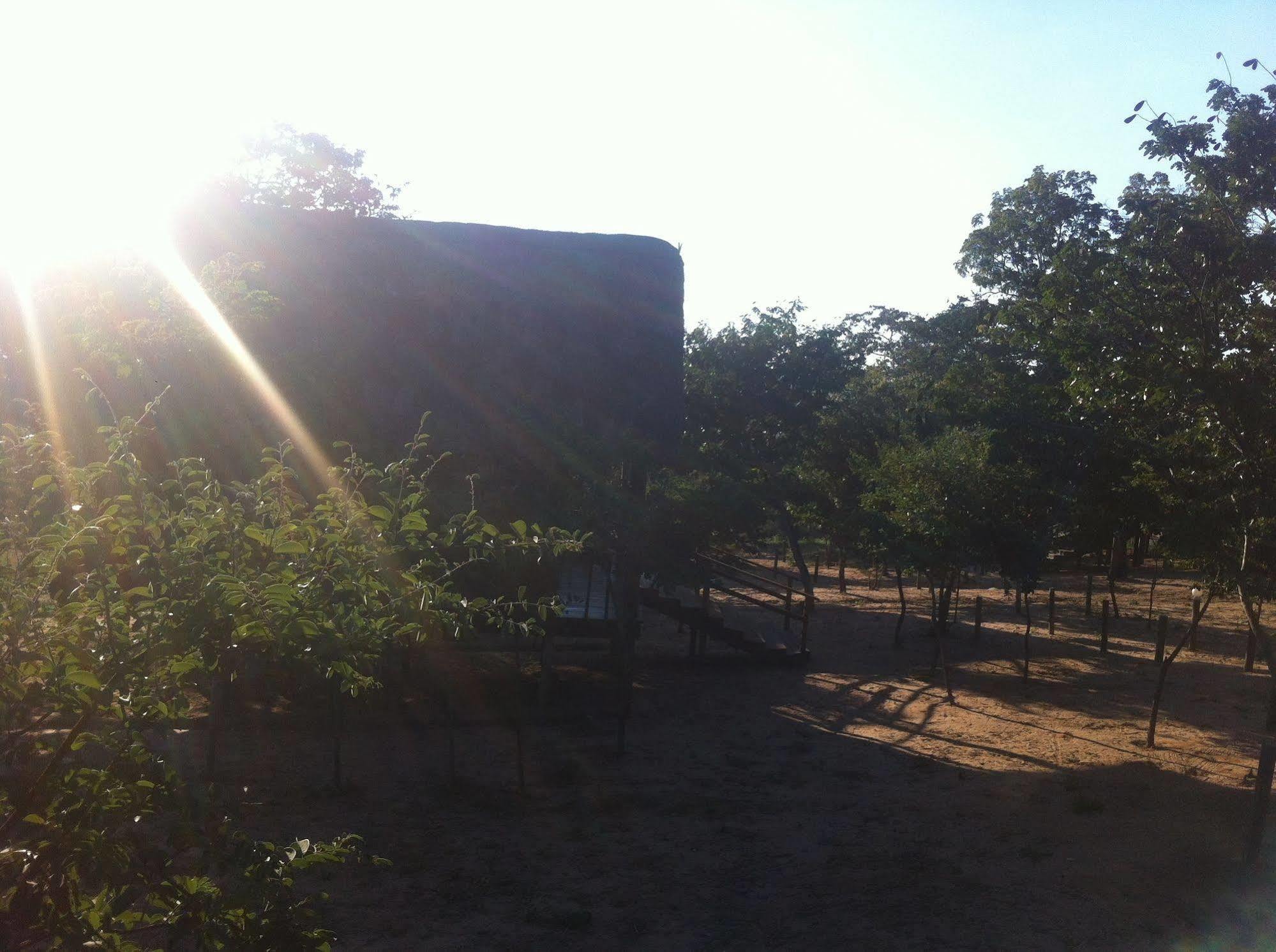 Lion Roars Lodge Lesoma 외부 사진