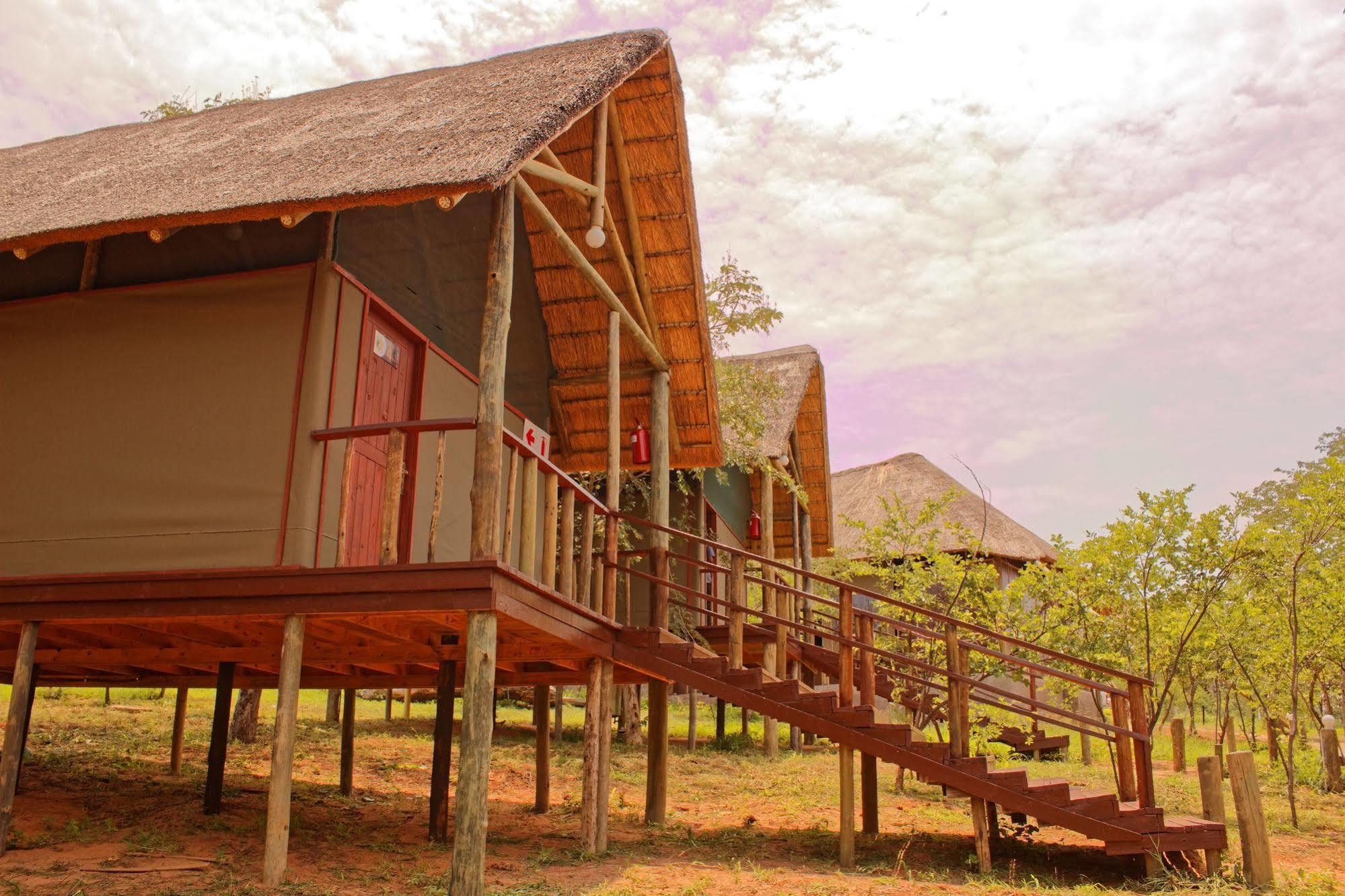 Lion Roars Lodge Lesoma 외부 사진