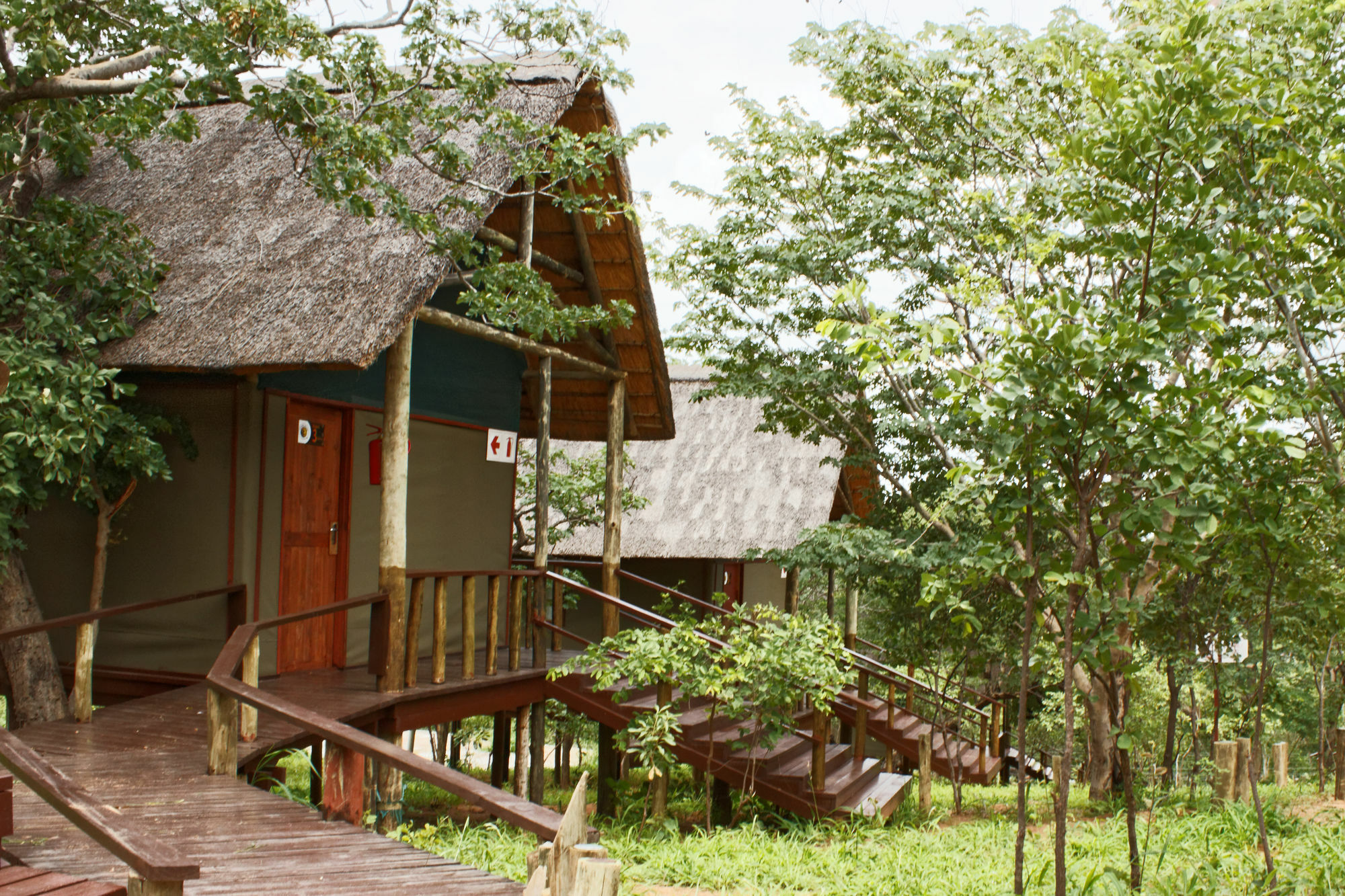 Lion Roars Lodge Lesoma 외부 사진